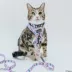 Sassy Meow Disney's Alice in Wonderland Step-In Cat Harness image thumbnail 5