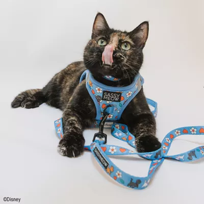Product Sassy Meow Disney's The Aristocats Blue Step In Cat Harness