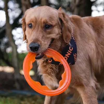 Product BIONIC Dog Toy Toss N Tug Turbo