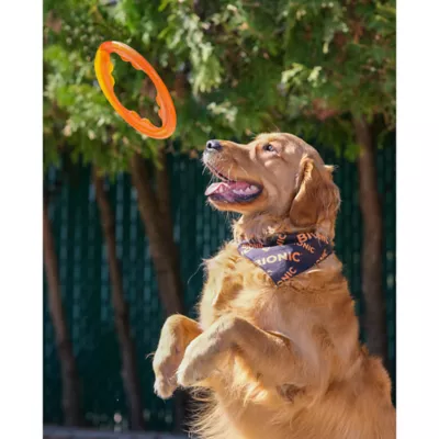 Product BIONIC Dog Toy Toss N Tug Turbo