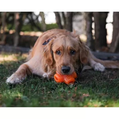 Product BIONIC Dog Toy Treat Star