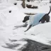 GF PET Fuzzy Sweater - Light Blue image thumbnail 2
