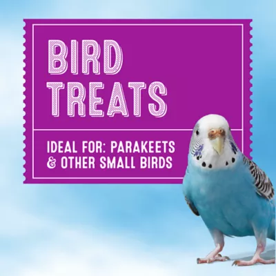 Product All Living Things Crunchy Sticks - Banana Flavored Bird Treats for Parakeets, 2 Count