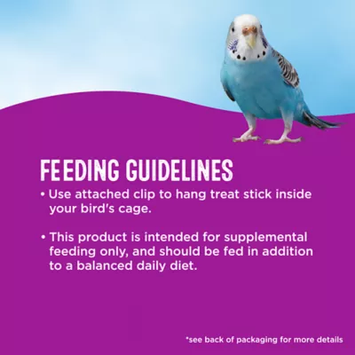 Product All Living Things Crunchy Sticks - Banana Flavored Bird Treats for Parakeets, 2 Count