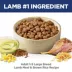 Hill's® Science Diet® Large Breed Adult Dry Dog Food - Lamb & Brown Rice image thumbnail 3