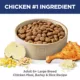 Product Hill's® Science Diet® Large Breed Senior 6+ Dry Dog Food - Chicken Recipe