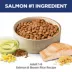 Hill's Science Diet Adult Dog Dry Food - Salmon & Brown Rice Recipe image thumbnail 3