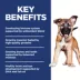 Hill's Science Diet Large Breed Puppy Dry Dog Food - Chicken & Oat image thumbnail 6