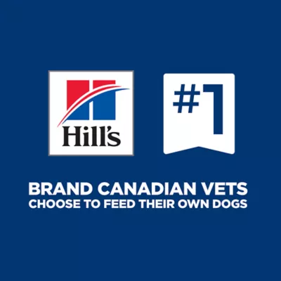 Hill's Science Diet Large Breed Puppy Dry Dog Food - Chicken & Oat - Image 7