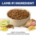 Hill's® Science Diet® Small Bites Adult Dry Dog Food - Lamb & Brown Rice image thumbnail 3