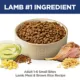 Product Hill's® Science Diet® Small Bites Adult Dry Dog Food - Lamb & Brown Rice