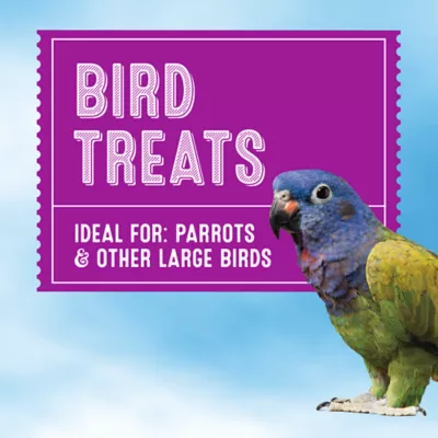 Product All Living Things Crunchy Stick - Nut & Fruit Flavored Bird Treat for Parrots, 1 Count