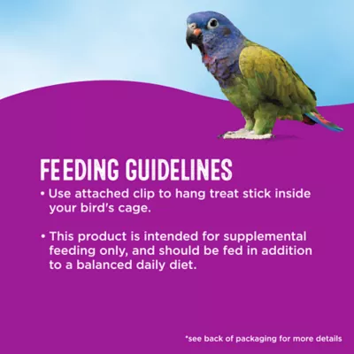 Product All Living Things Crunchy Stick - Nut & Fruit Flavored Bird Treat for Parrots, 1 Count