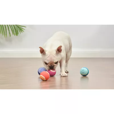 Product Disney Lilo and Stitch Floating Balls Dog Toy 4 Count