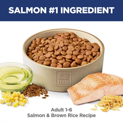 Hill's Science Diet Adult Dog Dry Food - Salmon & Brown Rice Recipe - Image 3