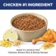 Product Hill's Science Diet Small & Mini Senior 11+ Dry Dog Food - Chicken & Brown Rice