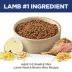 Hill's Science Diet Small & Mini Adult Dry Dog Food - Lamb Meal & Brown Rice image thumbnail 3