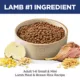 Product Hill's Science Diet Small & Mini Adult Dry Dog Food - Lamb Meal & Brown Rice
