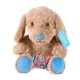 Product Petsmart Charities Chance & Friends Chance Squeaker Plush Dog Toy