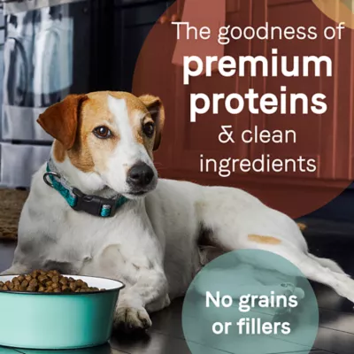 Product Canidae® Pure™ Adult Dry Dog Food - Grain Free, Bison, Lentil & Carrot