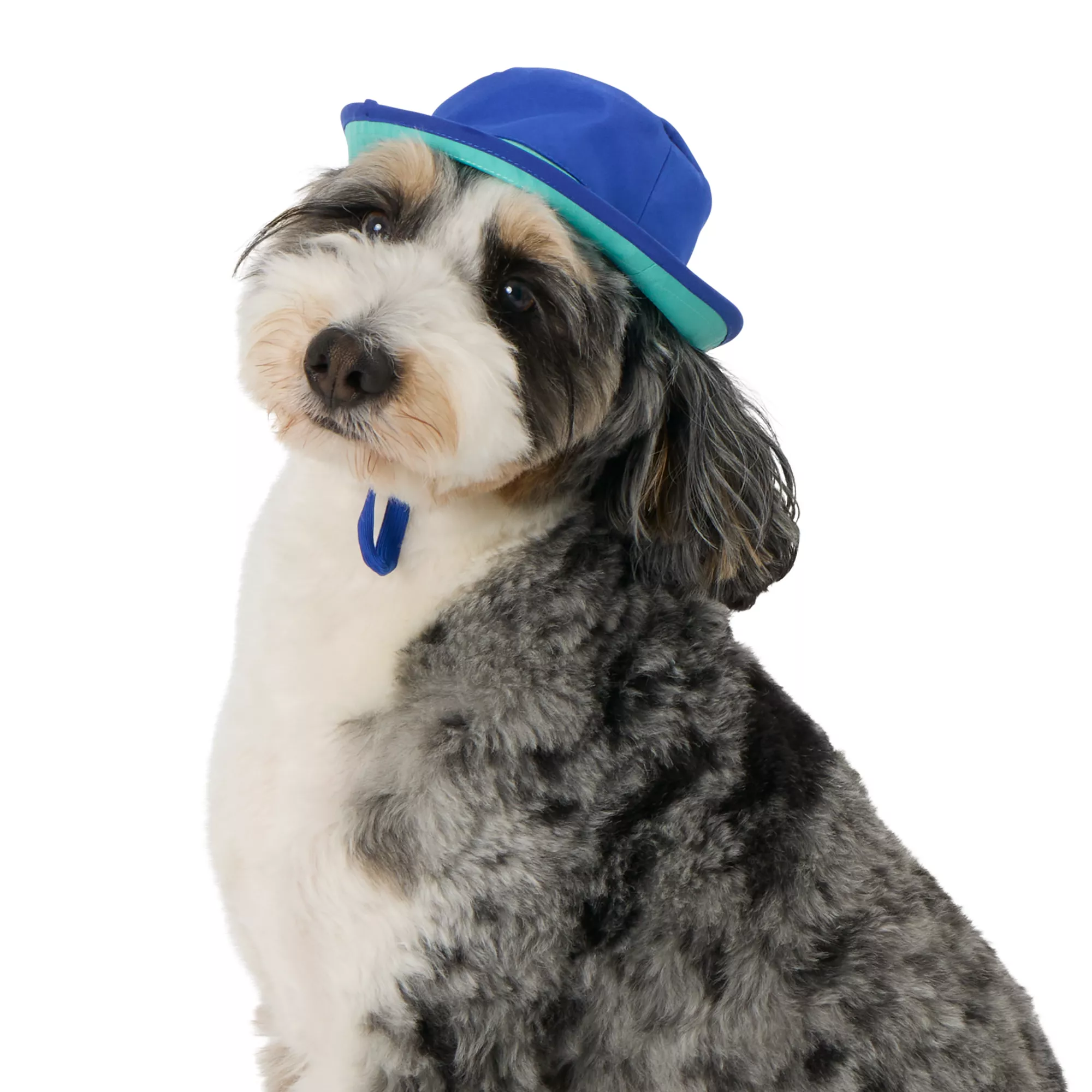Top Paw® Bucket Hat