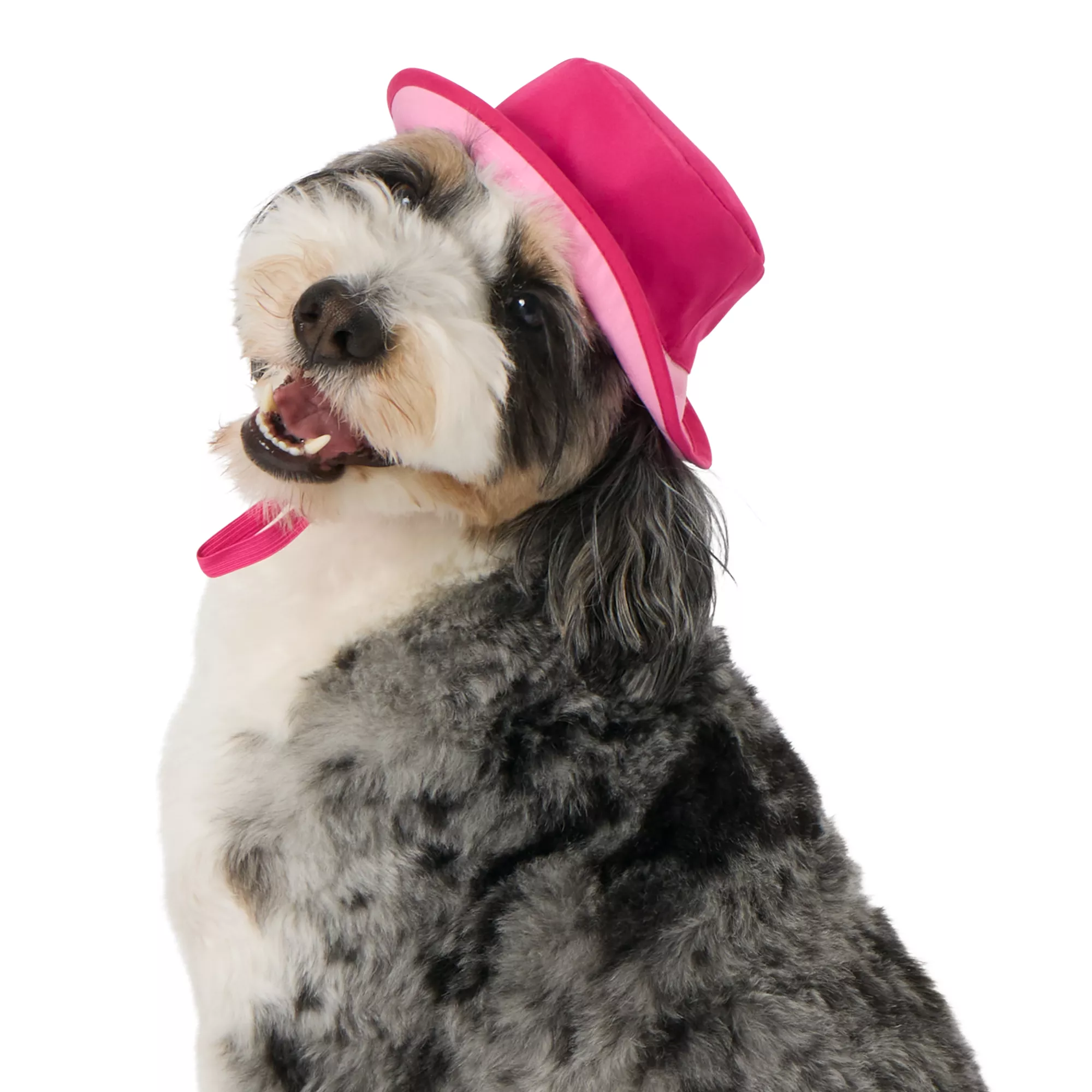 Top Paw® Summer Bucket Hat