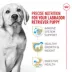 Royal Canin Breed Health Nutrition Labrador Retriever Puppy Dry Dog Food image thumbnail 5