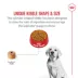 Royal Canin Breed Health Nutrition Labrador Retriever Puppy Dry Dog Food image thumbnail 6