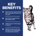 Hill's Science Diet Indoor Adult Cat Dry Food - Chicken, 15.5 lb image thumbnail 6