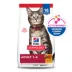 Hill's Science Diet Adult Dry Cat Food - Chicken, 16 lb image thumbnail 6