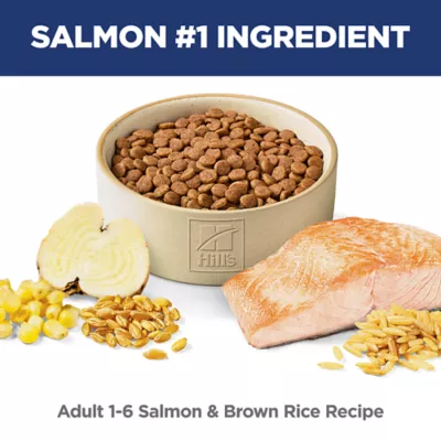 Product Hill's Science Diet Adult Cat Food - Salmon & Brown Rice