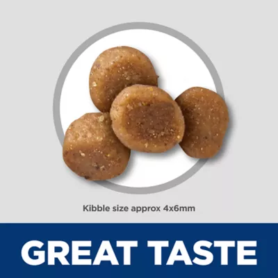 Product Hill's Science Diet Kitten Dry Food - Sensitive Stomach and Skin, Salmon & Brown Rice, 6 lb