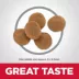 Hill's Science Diet Adult Dry Cat Food Sensitive Stomach & Skin - Chicken, 7 lb image thumbnail 3