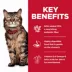 Hill's Science Diet Adult Dry Cat Food Sensitive Stomach & Skin - Chicken, 7 lb image thumbnail 4