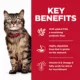 Product Hill's Science Diet Adult Dry Cat Food Sensitive Stomach & Skin - Chicken, 7 lb