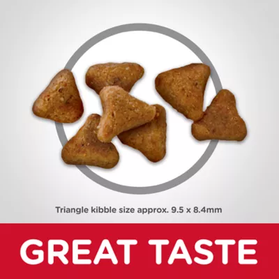 Hill's Science Diet Indoor Adult Cat Dry Food - Chicken, 15.5 lb - Image 3