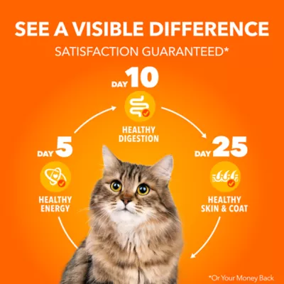 IAMS Adult Dry Cat Proactive Health Healthy Weight  Food - Chicken & Rice - Image 5