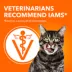 IAMS Adult Dry Cat Proactive Health Healthy Weight  Food - Chicken & Rice image thumbnail 4