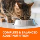 Product IAMS Adult Dry Cat Proactive Health Healthy Weight  Food - Chicken & Rice