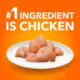 Product IAMS Adult Dry Cat Proactive Health Healthy Weight  Food - Chicken & Rice