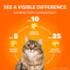 Product IAMS Adult Dry Cat Proactive Health Healthy Weight  Food - Chicken & Rice