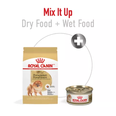 Product Royal Canin Breed Health Nutrition Pomeranian Adult Dog Dry Food