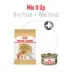 Royal Canin Breed Health Nutrition Pomeranian Adult Dog Dry Food image thumbnail 5