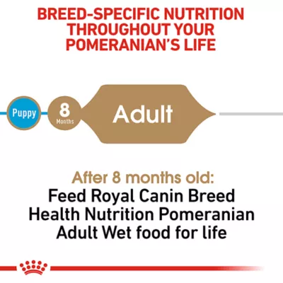 Product Royal Canin Breed Health Nutrition Pomeranian Adult Dog Dry Food