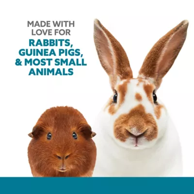 Product Full Cheeks™ Berry Flavored Drops, Treat for Small Animals