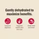 Product The Honest Kitchen Grain Free Dehydrated Adult Dog Food - Beef