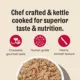 Product The Honest Kitchen Beef, Lamb & Spring Veggies Pate All Life Stages Wet Dog Food - 10.5 oz