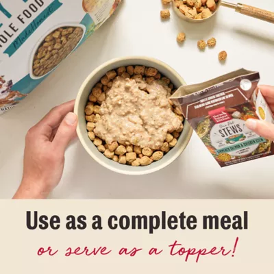 Product The Honest Kitchen Beef, Lamb & Spring Veggies Pate All Life Stages Wet Dog Food - 10.5 oz