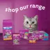 WHISKAS Favourites Adult Wet Cat Food Morsels In Gelled Gravy - Pouch, 85g image thumbnail 6