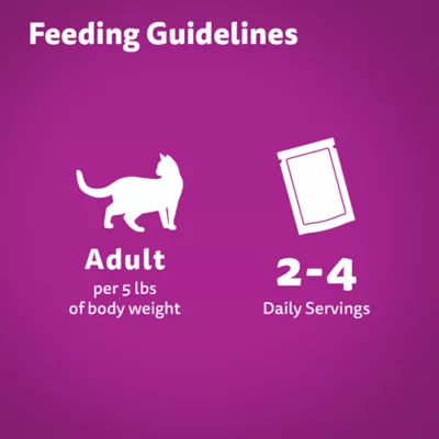 Product WHISKAS Favourites Adult Wet Cat Food Morsels In Gelled Gravy - Pouch, 85g